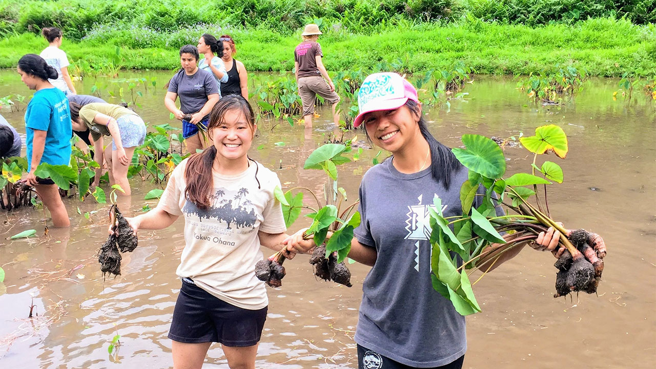 Listening, learning and serving Hawaii